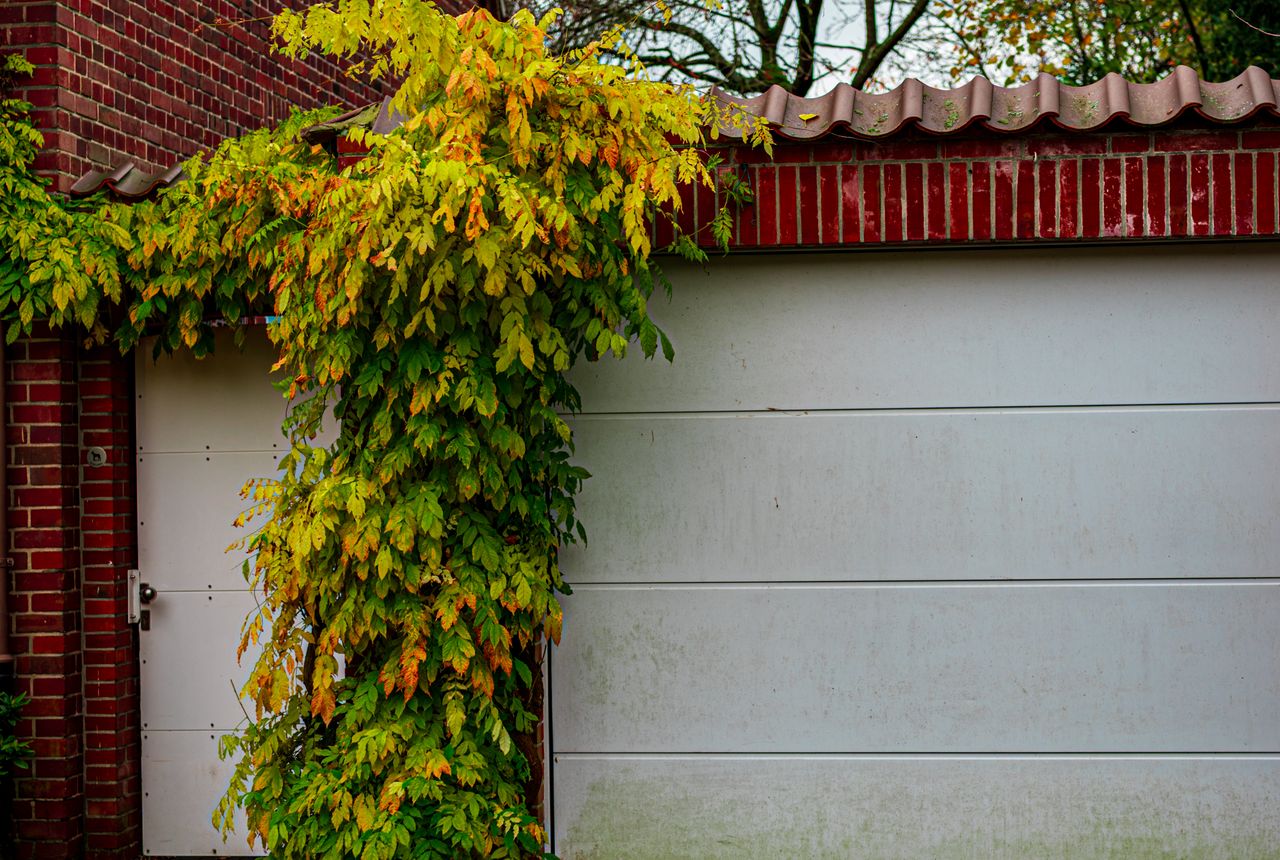 Garage door service in Provo, UT